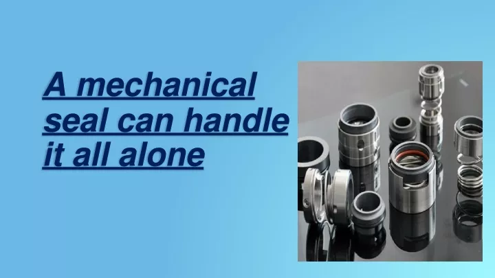 a mechanical seal can handle it all alone