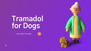 Tramadol for Dogs