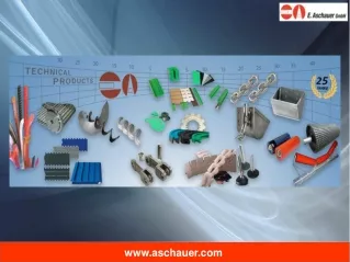 www aschauer com