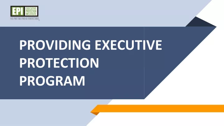 providing executive protection program