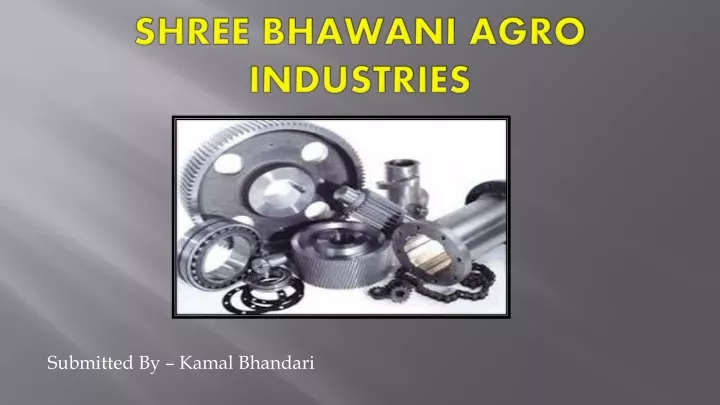 shree b hawani agro industries
