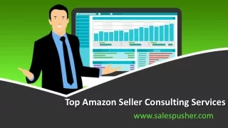 Top Amazon Seller Consulting Services - www.salespusher.com