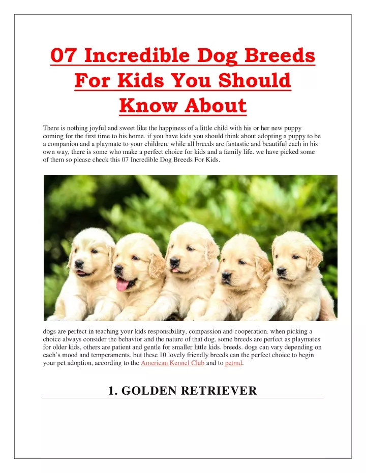 07 incredible dog breeds for kids you should know