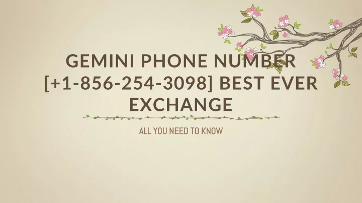 gemini phone number 1 856 254 3098 best ever exchange