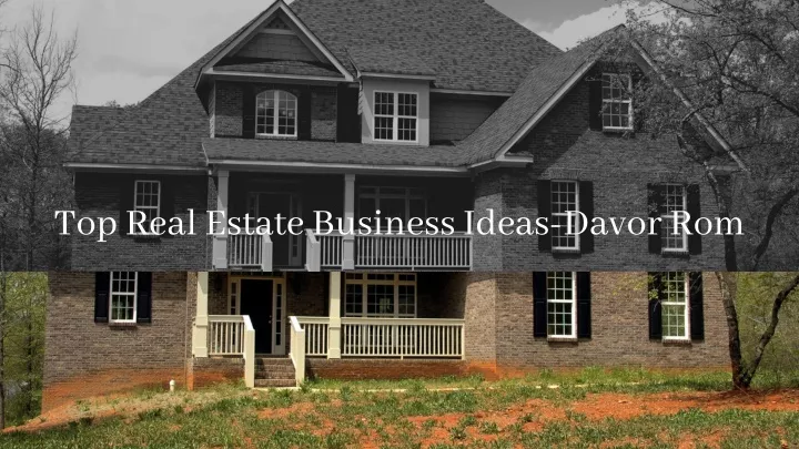 top real estate business ideas davor rom