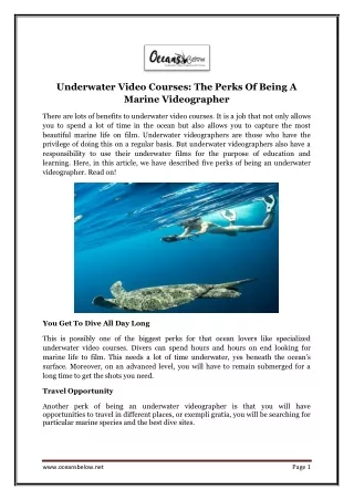Underwater Video Courses The Perks Of Being A Marine Videographer
