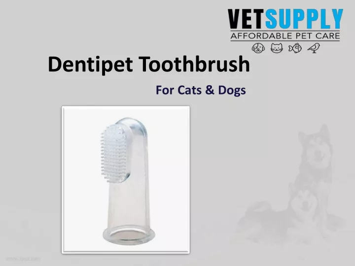 for cats dogs