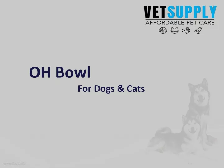 oh bowl for dogs cats