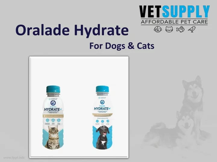 oralade hydrate for dogs cats