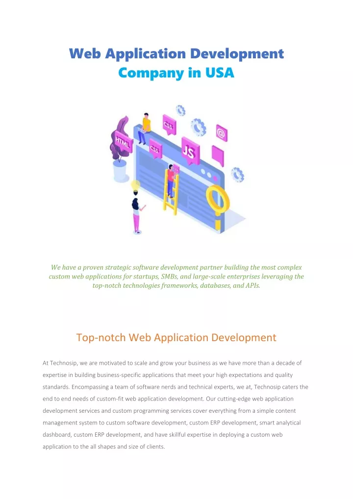 web application development company in usa