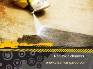 www cleankangaroo com