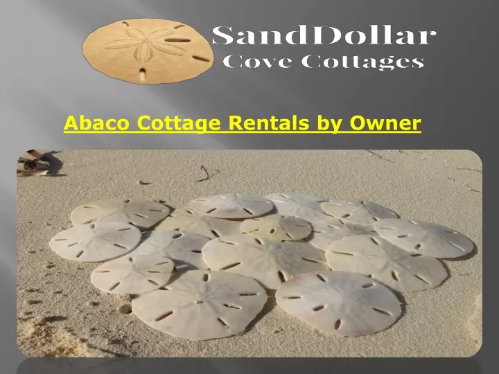 abaco cottage rentals by owner