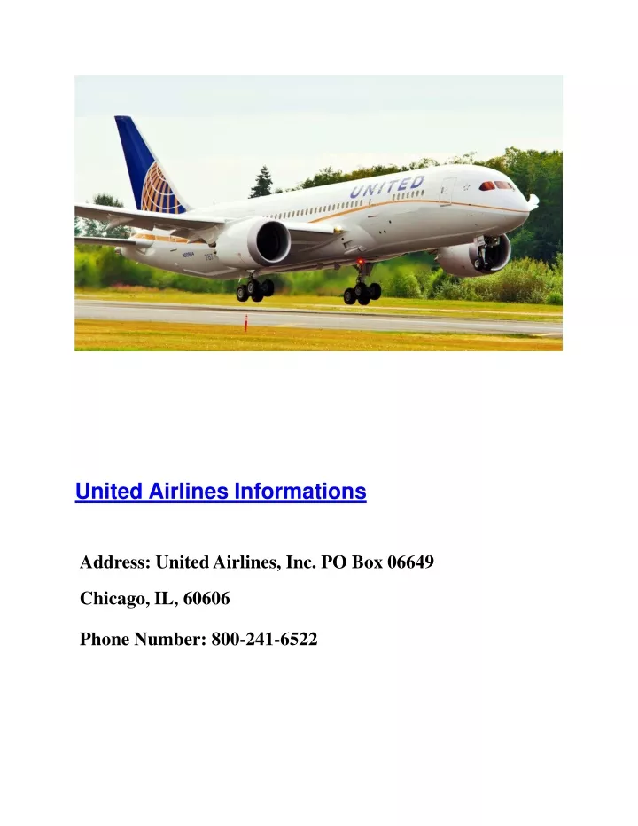 united airlines informations address united