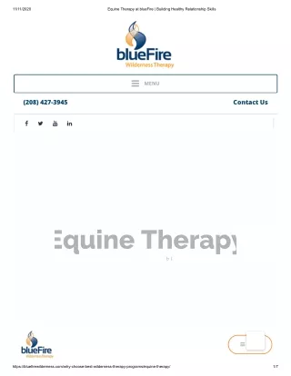 Equine Therapy at blueFire - Building Healthy Relationship Skills