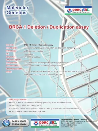 BRCA 1 Deletion Duplication Assay
