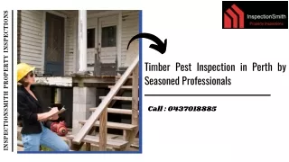 Timber Pest Inspection and Home Inspections in Perth by Seasoned Professionals