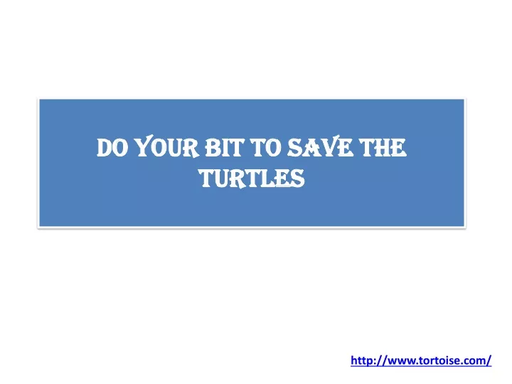do your bit to save the turtles