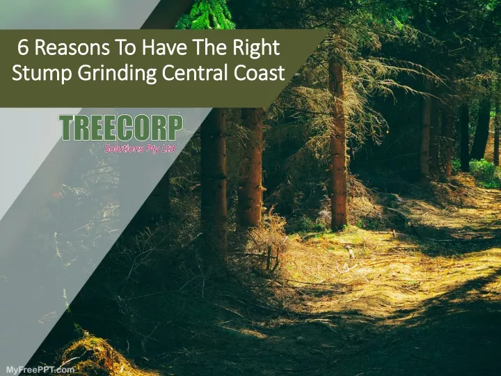 6 reasons to have the right stump grinding central coast