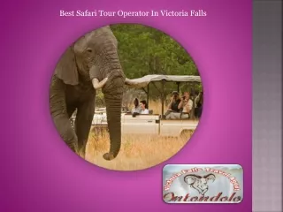 Best Safari Tour Operator In Victoria Falls