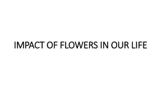 impact of flowers in our life