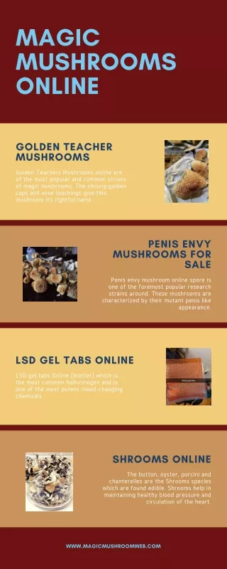 Buy Golden Teacher Mushrooms Online for Sale from Magic Mushroom Web