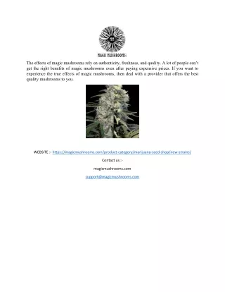 the effects of magic mushrooms rely