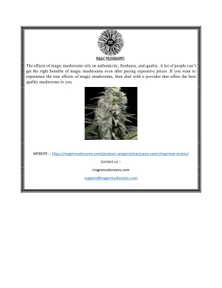 the effects of magic mushrooms rely