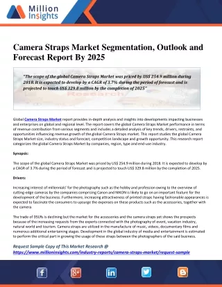 camera straps market segmentation outlook