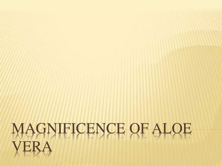 magnificence of aloe vera