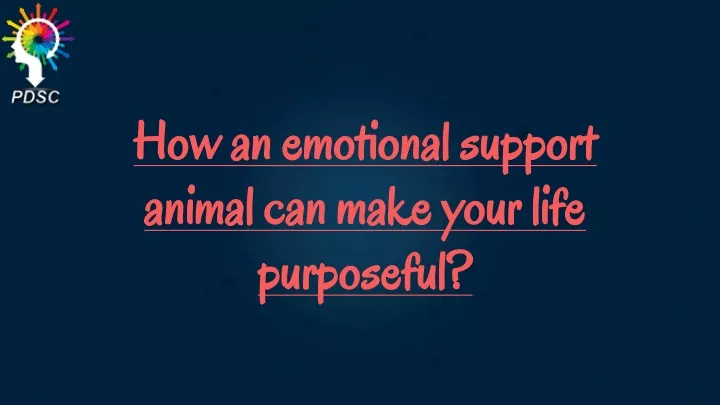 how an emotional support animal can make your life purposeful