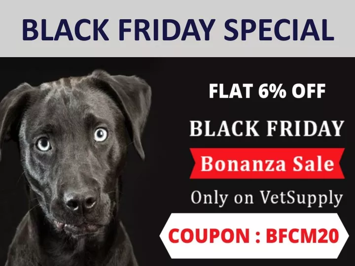 black friday special