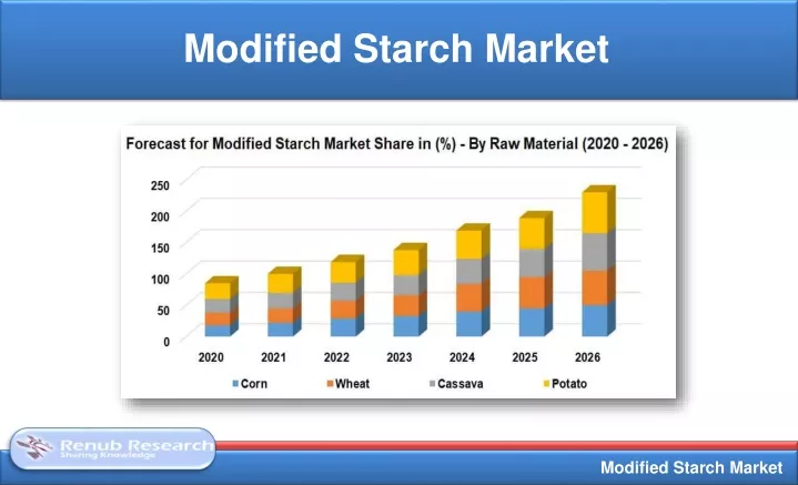 modified starch market