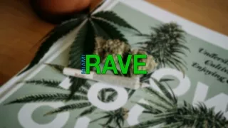 CBD Oil For Sale | Buy CBD Hemp Flower |CBD Edibles | Miami Rave