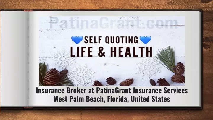 insurance broker at patinagrant insurance
