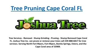 Tree Pruning Cape Coral FL