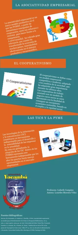 INFOGRAFÍA ASOCIATIVIDAD PYME