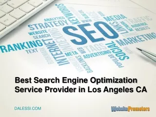 Best Search Engine Optimization Service Provider in Los Angeles CA