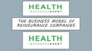 Model of Reinsurance Companies