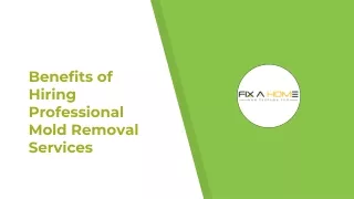 Benefits of Hiring Professional Mold Removal Services