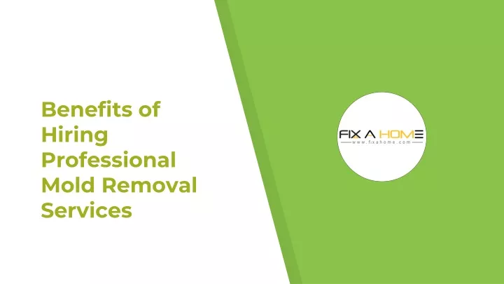 benefits of hiring professional mold removal services