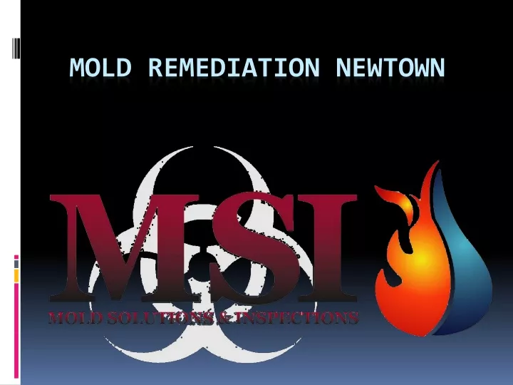 mold remediation newtown