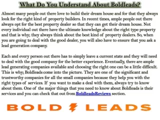 what do you understand about boldleads