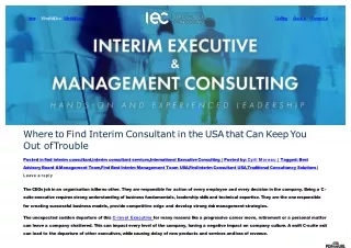 Where to Find Interim Consultant in the USA | IE Consulting LLC