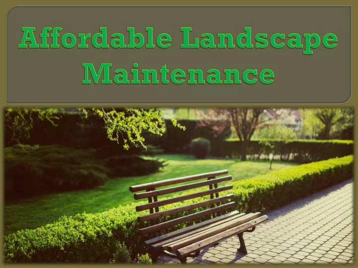 affordable landscape maintenance