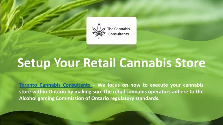 setup your retail cannabis store