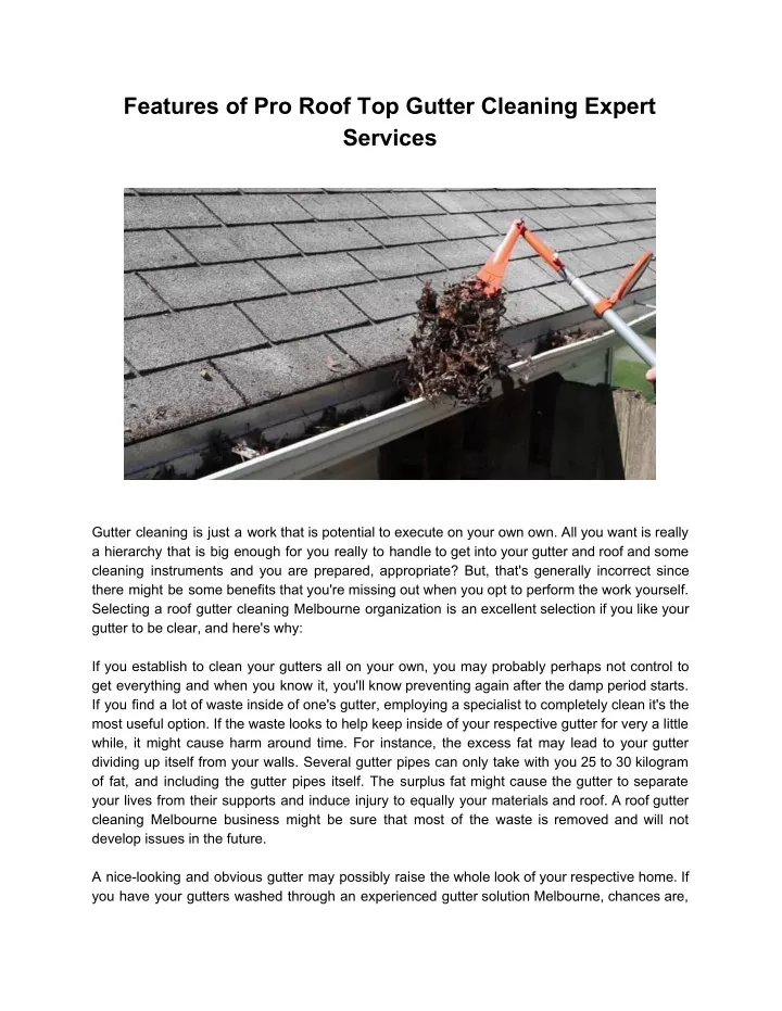 features of pro roof top gutter cleaning expert