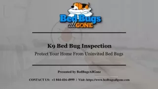 Best K9 Bed Bug Inspection in San Francisco Bay Area