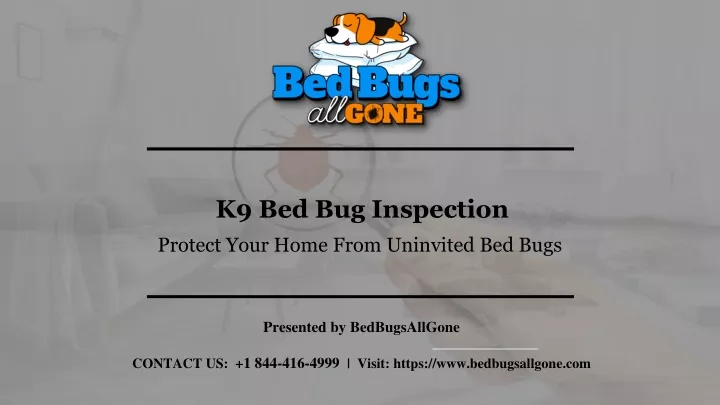 k9 bed bug inspection protect your home from