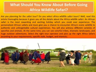 What Should You Know About Before Going Africa Wildlife Safari?