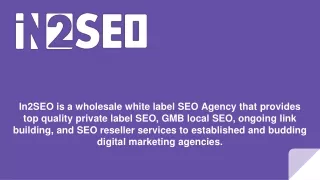 in2seo is a wholesale white label seo agency that